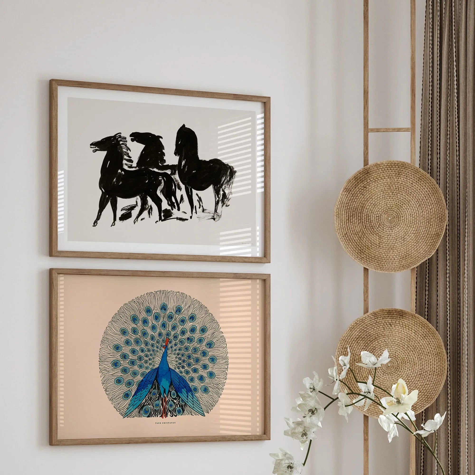 Animal Posters