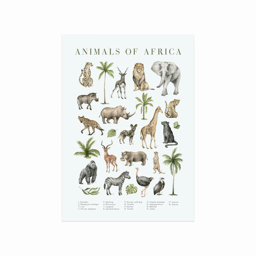 Animals of Africa art poster