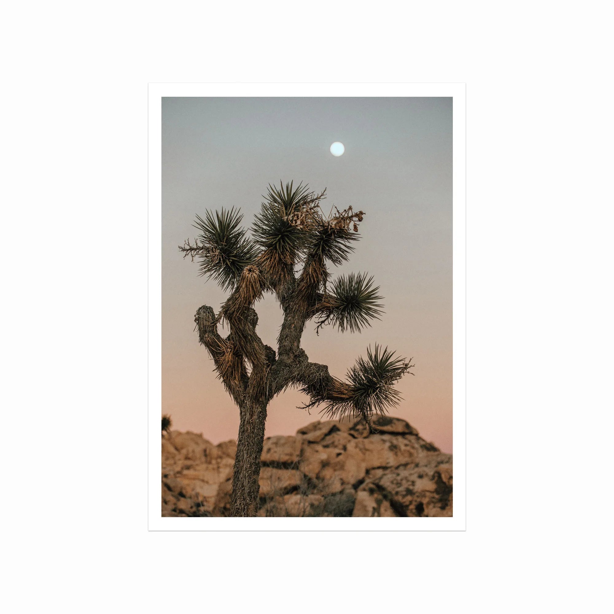 Joshua Tree art poster